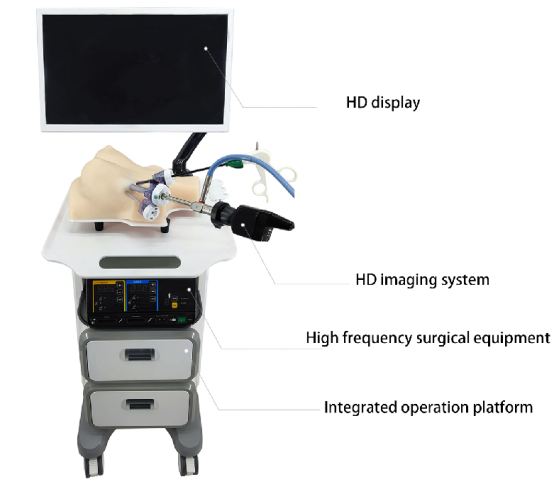 HFM-8950 Thyroid and breast Integrated simulator