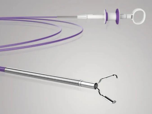 Disposable Endoscopic Flexible Rotatable Hemoclip