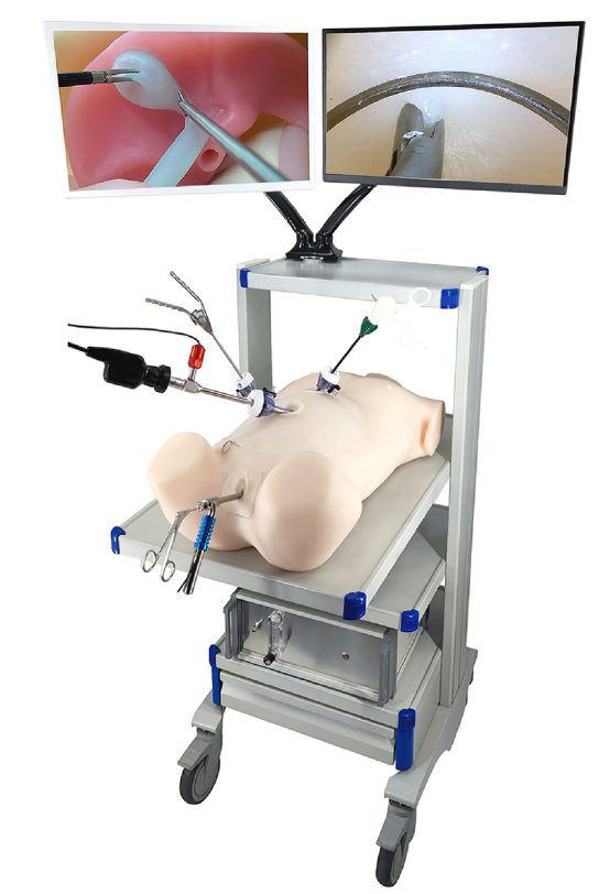 Bionic body for endoscopic training HFM-8910